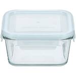 Контейнер для хранения, запекания, заморозки miFamilia 450 мл Nested collection (6033) квадратный