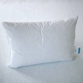 Подушка IGLEN полегшена 50х70 пух 100% в тику (507011G)