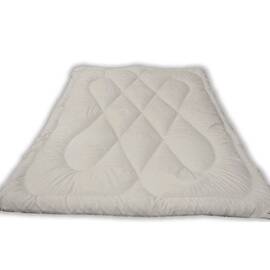 Ковдра силіконова 200х220 зимова Руно (322.52СЛУ_білий), Сезонність: зимова, Розмір: 200x220