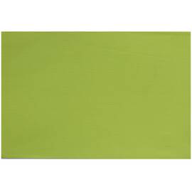 Коврик для горячего однотонний світло-салатовий PDL (КВ099-4)