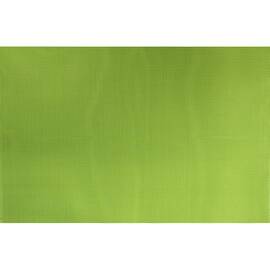 Коврик для горячего однотонный салатовый PDL (КВ099-5), Тип: сеты и подтарельники, Цвет: салатовый, Форма скатерти: прямоугольная, Размер: 30x45