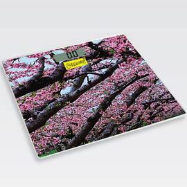 Ваги електронні підлогові Maestro (MR1823)