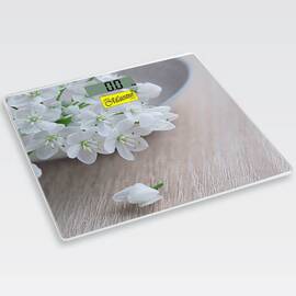 Ваги електронні підлогові Maestro (MR1819)