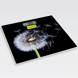 Ваги електронні підлогові Maestro (MR1828)