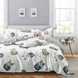 Комплект подростковый 24291 ранфорс 143х210 (50х70) Вилюта