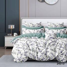 Постільна білизна 24313 ранфорс 200х220 Вілюта, Розмір: двоспальний євро 200х220, Основний колір: зелений