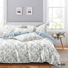 Постельное белье 24285 ранфорс 2шт(143х210) Вилюта, Размер: семейный 2шт(145x210), Основной цвет: голубой