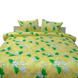 Постельный комплект сатин евро Руно (845.137К_Калли)