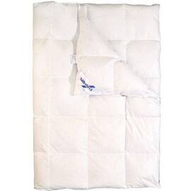 Одеяло пуховое Магнолия К0 140х205 Billerbeck (0590-00/01), Сезонность: зимнее, Размер: 140x205