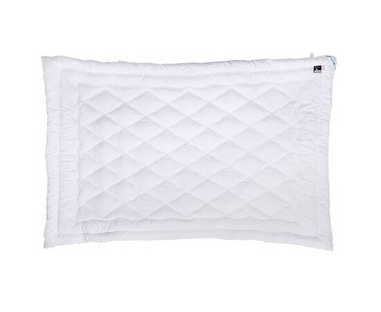 Одеяло заменитель лебяжьего пуха 200х220 демисезонное Руно (322.52ЛПКУ), Сезонность: демисезонное, Размер: 200x220, изображение 2