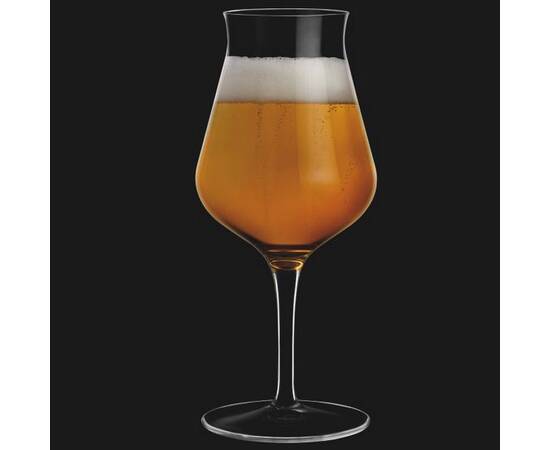 Бокал для дегустации пива Birrateque 42 cl C 469 Luigi Bormioli (11808/01), изображение 4