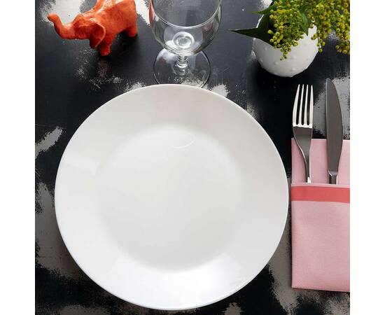 Тарілка Luminarc ARCOPAL ZELIE обідня (L4119), зображення 2