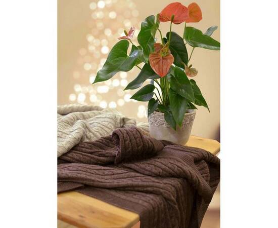 Плед 140х180 SOFT Косы Мокко (015) Прованс (011693), Цвет: коричневый, Размер: 140x180, изображение 3