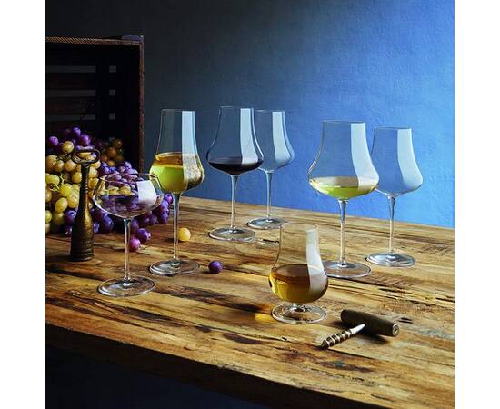 Келих Tentazioni, для коктейлів, 300 мл, уп. 6 шт. Luigi Bormioli (12498/01), зображення 4