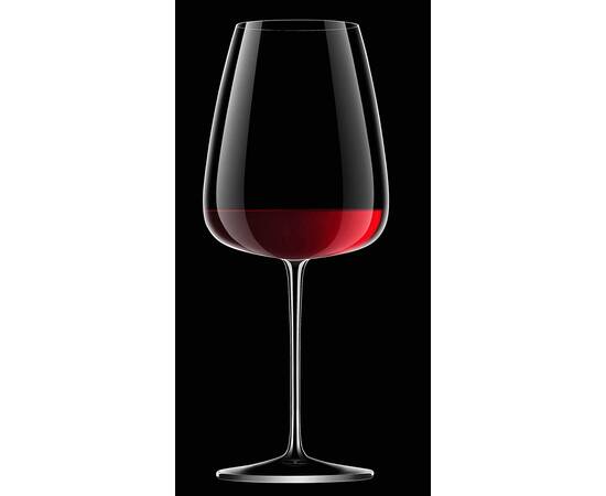 Бокал Talismano, для красного вина, 700 мл (4 шт./уп.) Luigi Bormioli (12731/02)