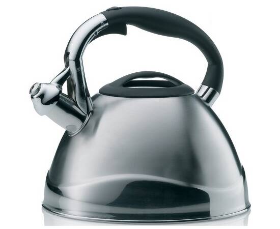 Чайник KELA Varus металлик 3 л (11655)