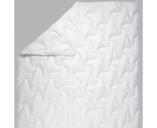 Одеяло антиаллергенное Нина 200х220 Billerbeck (0204-20/03)