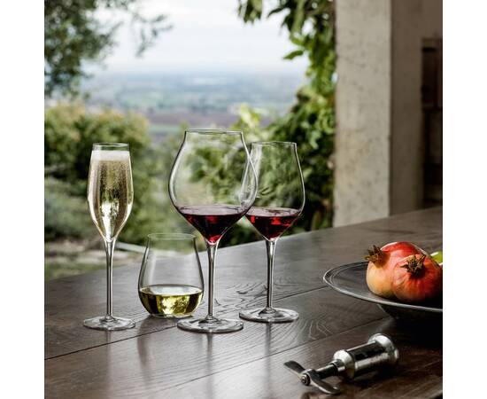 Бокал Vinea красное вино С 468, 45 cl, 6 шт/уп Luigi Bormioli (11834/01)