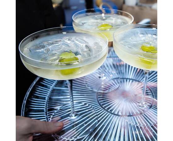 Бокал Vinea Coupe С 478, 30 cl, 6 шт/уп Luigi Bormioli (11899/01), изображение 4