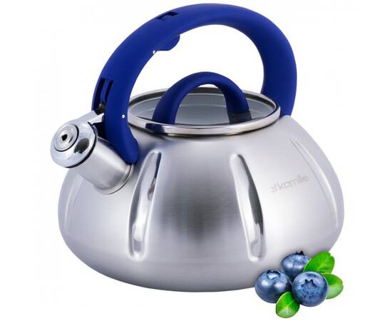 Чайник 3л со свистком и стеклянной крышкой Kamille (671), изображение 4
