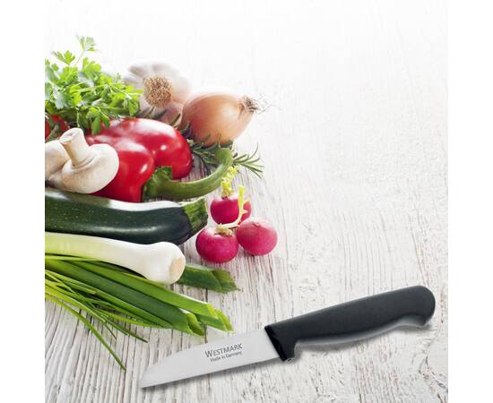 Нож для чистки овощей WESTMARK (W13522270), изображение 3