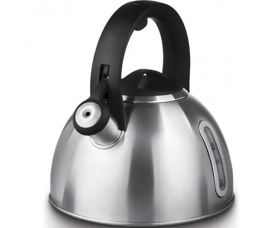 Чайник зі свистком POLARIS Alicante-3LN 3 л (014798), зображення 3