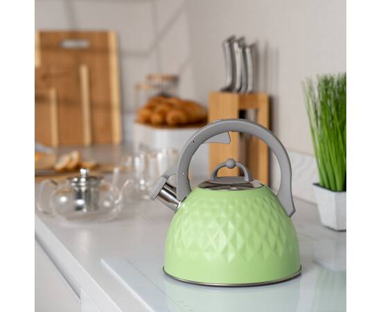 Чайник Gemini 2,5л Ardesto (AR1947KG), зображення 3