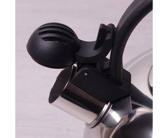 Чайник 2.5л зі свистком Kamille (679), зображення 3