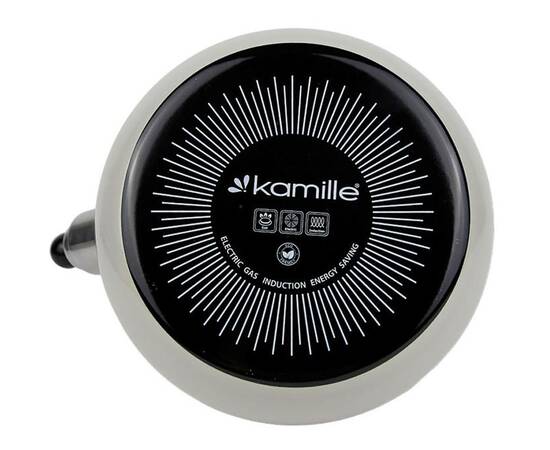 Эмалированный чайник со свистком 2.5 л Kamille (1039B), изображение 3