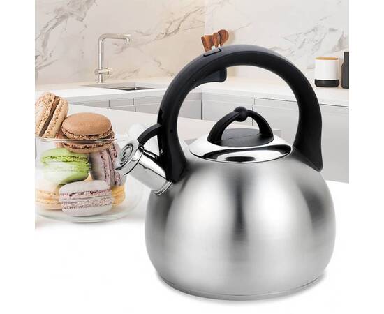 Чайник Rainbow 3,0 л Maestro (MR1311), изображение 2