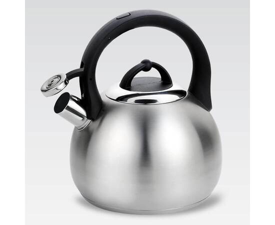 Чайник Rainbow 3,0 л Maestro (MR1311), изображение 4