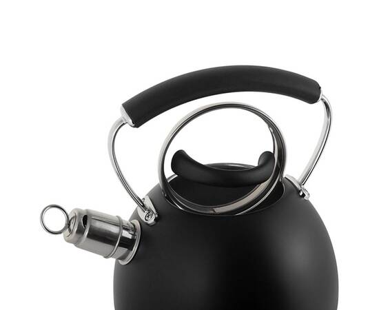 Чайник 2.5л зі свистком Ofenbach (100311), зображення 3