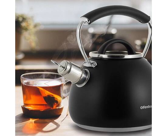 Чайник 2.5л зі свистком Ofenbach (100311), зображення 5