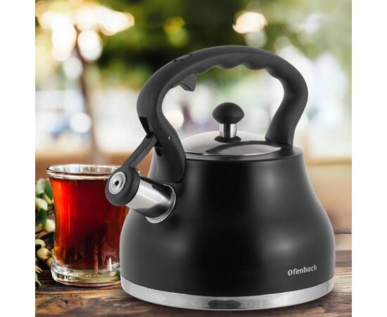 Чайник 2.7л зі свистком Ofenbach (100313BL), зображення 4