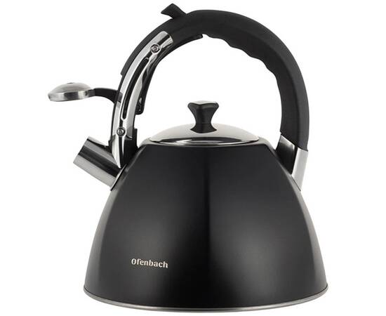 Чайник 3.2л зі свистком Ofenbach (100308), зображення 2