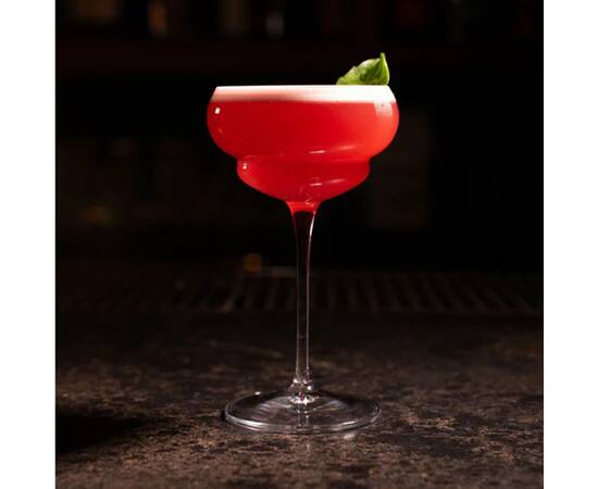 Келих Luigi Bormioli Backdoor'20S Nick&Nora C 542 17cl 6 шт/уп (13801/01), зображення 3