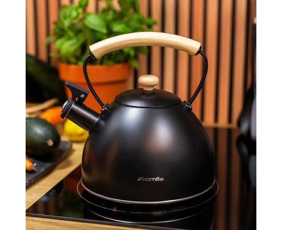 Чайник 2,5л Kamille (856), зображення 6