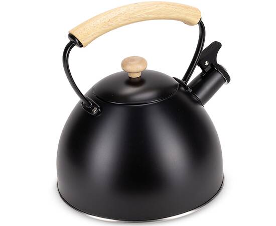 Чайник 2,5л Kamille (856), зображення 2