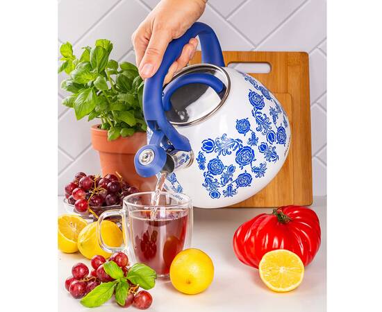 Чайник 2,7 л Kamille (870), зображення 2