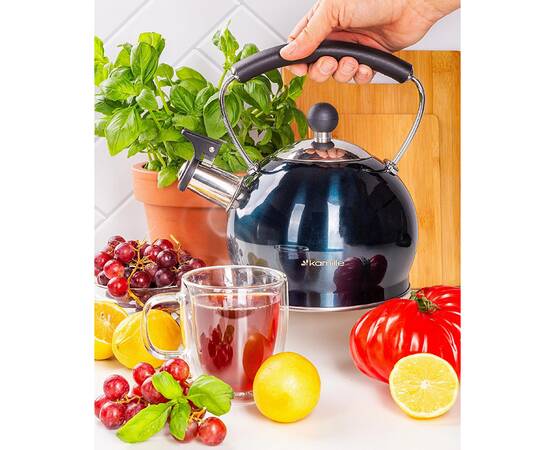 Чайник 2 л Kamille (872), изображение 5