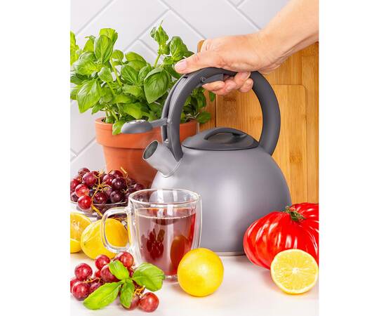 Чайник 2,7 л Ofenbach (100321), изображение 2