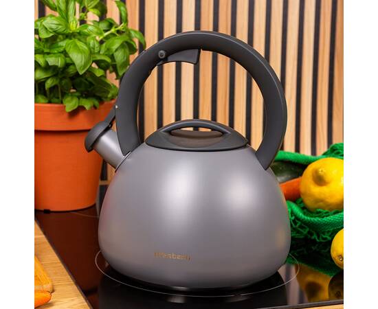 Чайник 2,7 л Ofenbach (100321), изображение 3