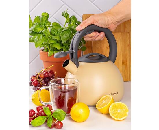 Чайник 2,7 л Ofenbach (100322), изображение 2