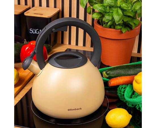 Чайник 2,7 л Ofenbach (100322), изображение 3