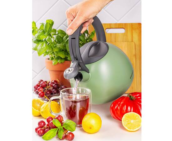 Чайник 2,7 л Ofenbach (100323), изображение 2