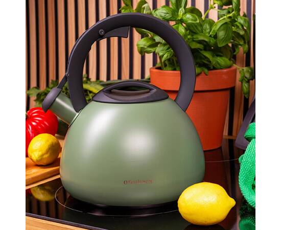 Чайник 2,7 л Ofenbach (100323), изображение 3