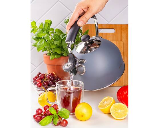 Чайник 2,2 л Ofenbach (100324), изображение 2