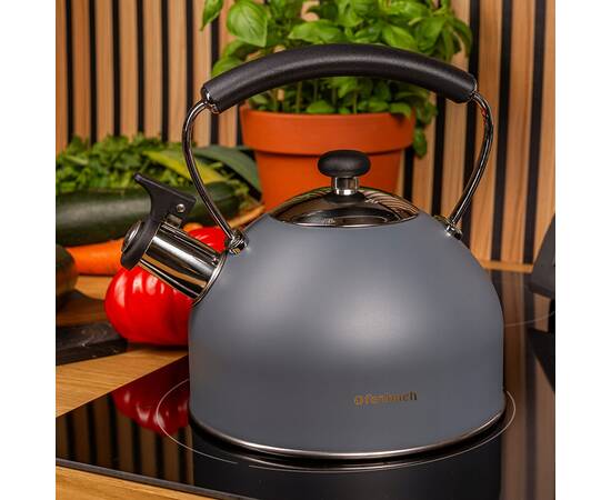 Чайник 2,2 л Ofenbach (100324), изображение 3