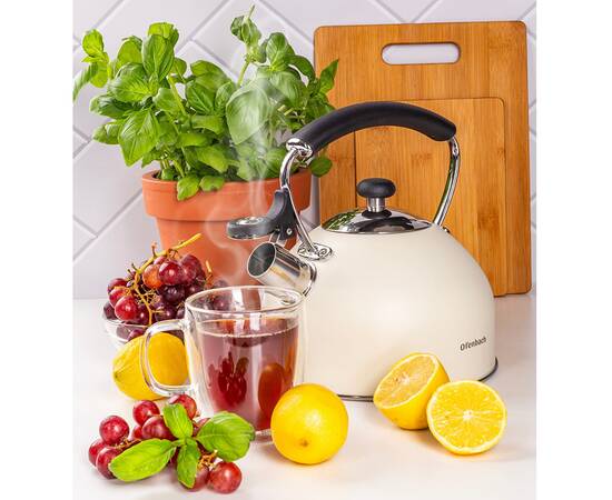 Чайник 2,2 л Ofenbach (100325), зображення 2